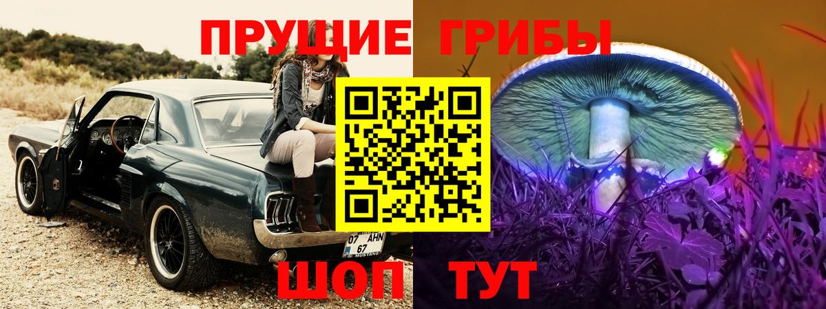 Псилоцибиновые грибы Psilocybine cubensis  Псилоцибиновые грибы Psilocybine cubensis  Камышлов  Вход с VPN 